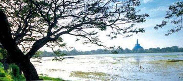 Lucky Holiday Home Anuradhapura Eksteriør bilde